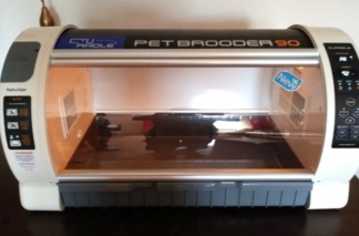İkinci El Curadle Pet Brooder 90 Yoğun Bakım Kabini