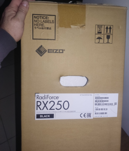 İkinci El EIZO RadiForce RX250 Medikal Monitör