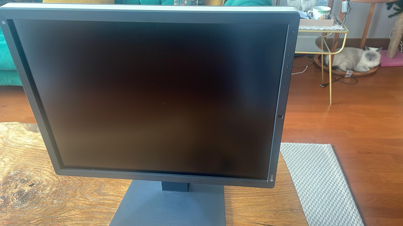 Secondhand EIZO RadiForce RX250 Medical Monitor