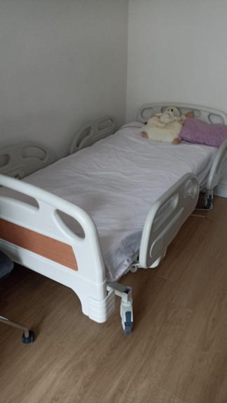 Secondhand Hepa H225-ABS Dual Motor Patient Bed