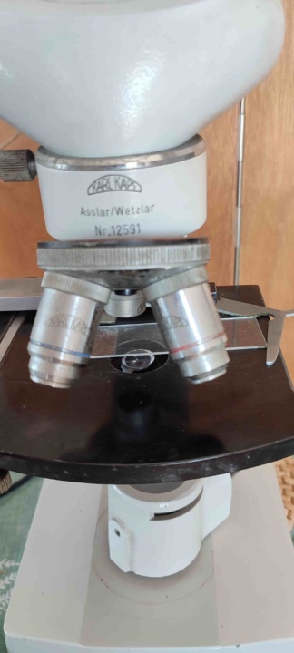 Secondhand Karl Kaps 12591 Binocular Microscope