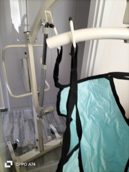 Secondhand Gemesan Patient Lift - Image 2