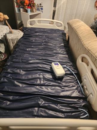 Secondhand Elegant 2 Motor Patient Bed
