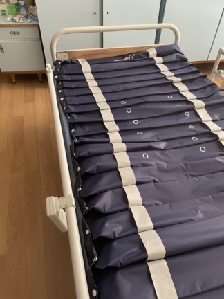 Secondhand Turmed TM-D 4077 Dual Motor Patient Bed