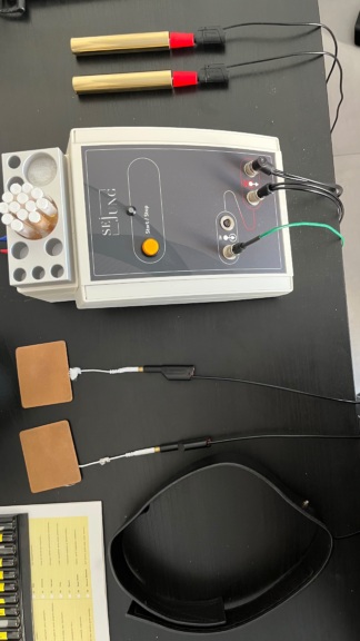 Secondhand Sejung Bioresonance Device