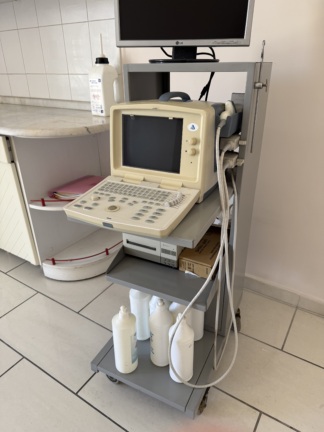 Secondhand Leo 3000D2 Ultrasound Machine