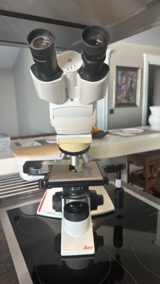 İkinci El Leica DM 1000 LED Binoküler Mikroskop