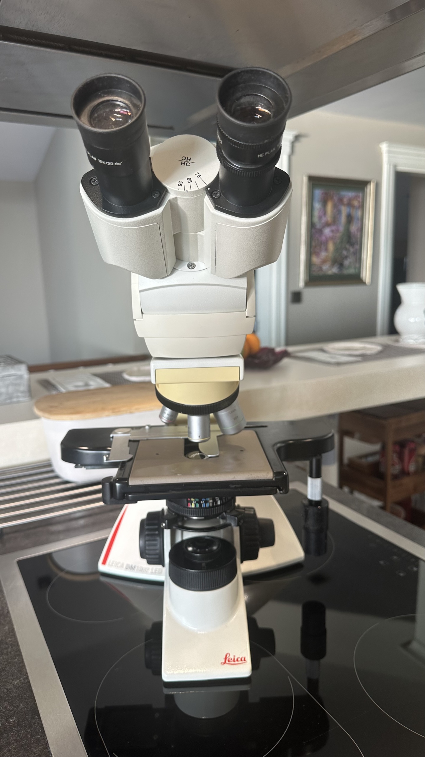 İkinci El Leica DM 1000 LED Binoküler Mikroskop